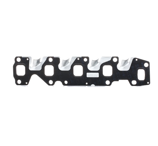 REINZ 71-36322-00 Τσιμούχα πολλαπλή εξαγωγή FIAT Doblo II Φορτηγό πλατφόρμα/Σασσί (263) 1.3 D Multijet 75 PS 263 A6.000