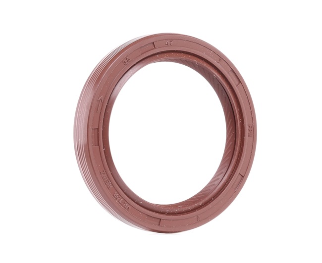 REINZ 81-15855-40 Joint de toit ouvrant 1.6 16V (BA04, BA0B, BA11, BA1J, BA16, BA19, BA1K, BA1V,... 107CV 2002