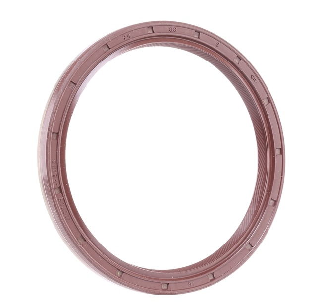 REINZ 81-36644-00 Ηλιοροφή λαστιχένιο εξάρτημα 1.4 CNG (225AXC1A, 225BXC1A) 77 PS 350 A1.000