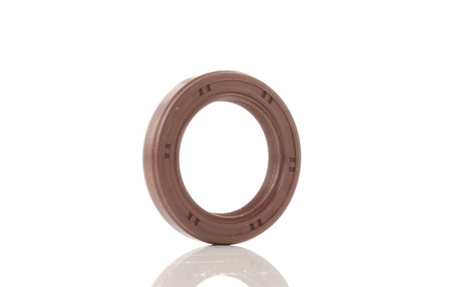 REINZ 81-53918-00 Pakdåse krumtap Subaru Forester SG 2.0 X AWD (SG5) 158 HK EJ204