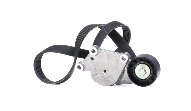 SKF VKMA 33222 Multiriem Ford Transit Connect Station Wagon 1.5 TDCi 75 Pk XUGA