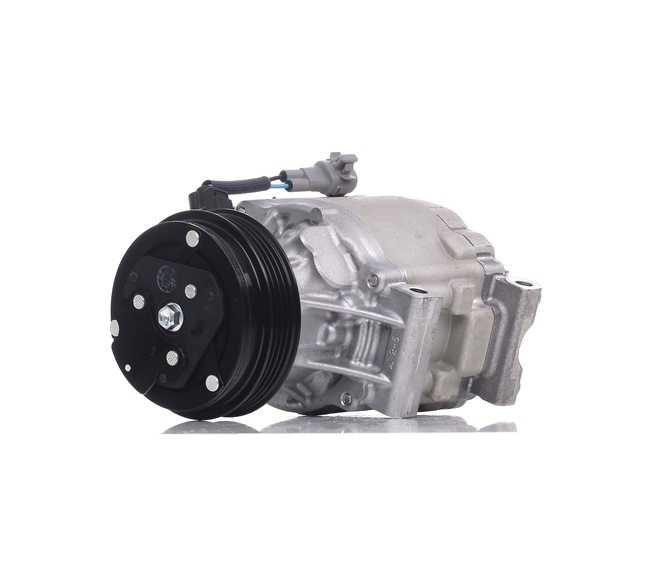 DENSO DCP36002 Compressor de ar condicionado Subaru Legacy 4 Carrinha 2.5 AWD (BP9) 165 cv EJ25