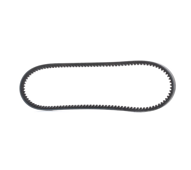 SNR CA10AV745 Tensor de correa 1.0 46 cv F10A