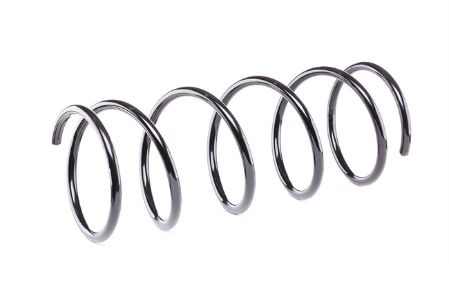 FORD STARK Arc spirală SKCS-0040017