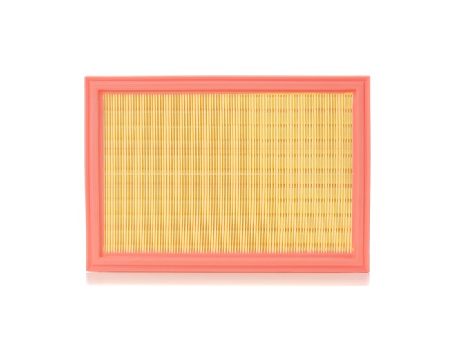 FORD STARK Luftfilter SKAF-0060018