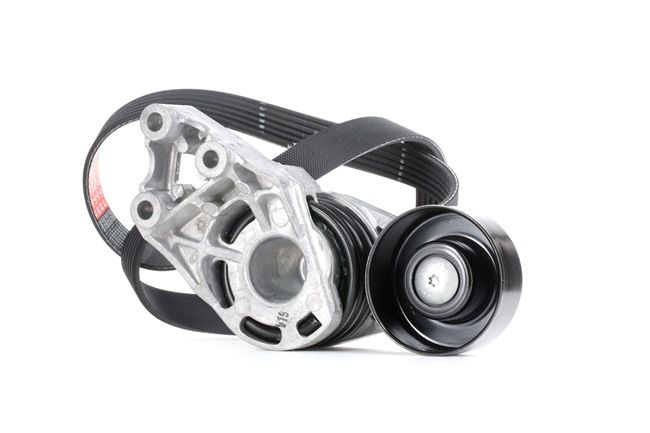 GATES K016PK995 Keilrippenriemensatz Audi A2 8Z0 1.4 TDI 75PS 2005
