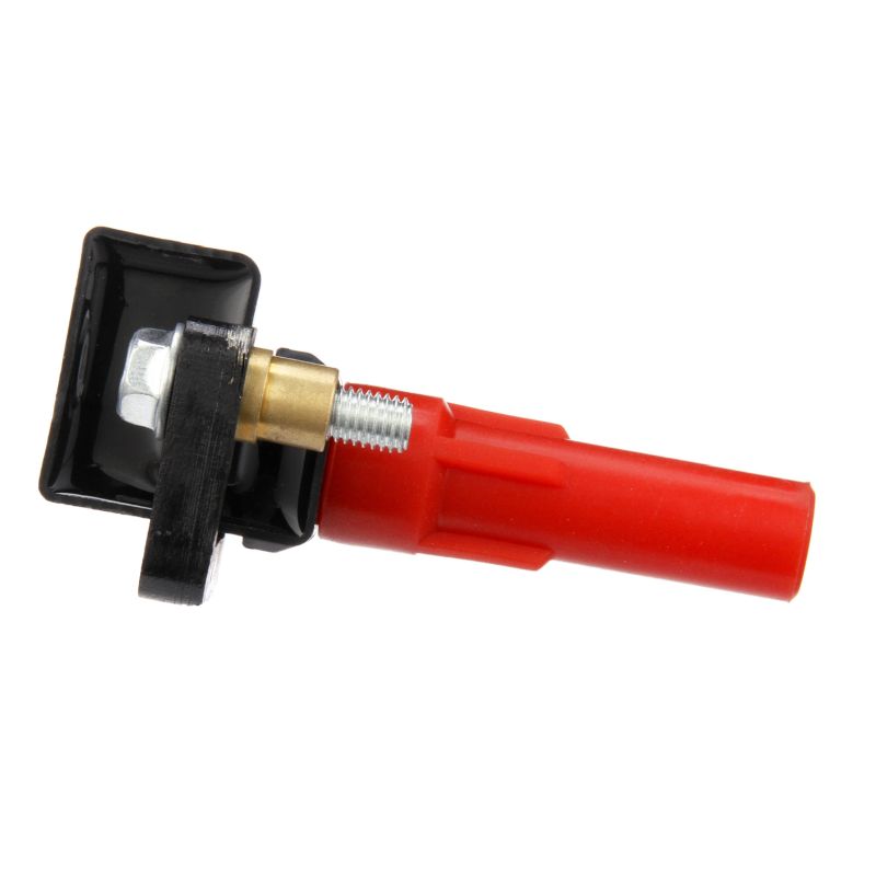 DELPHI GN10435-12B1 Gløderør 3.0 R AWD (BLE, B13) 245 HK EZ30