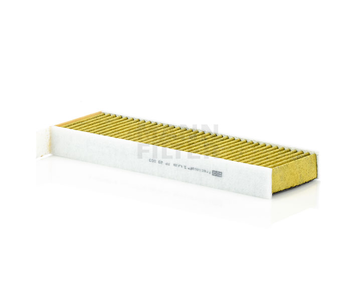 DS MANN-FILTER Air con filter FP 29 003-2