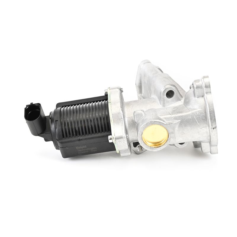 DELPHI EG10258-12B1 Válvula egr Opel Corsa C X01 1.3 CDTI 16V (F08, W5L) 69 cv Z 13 DT