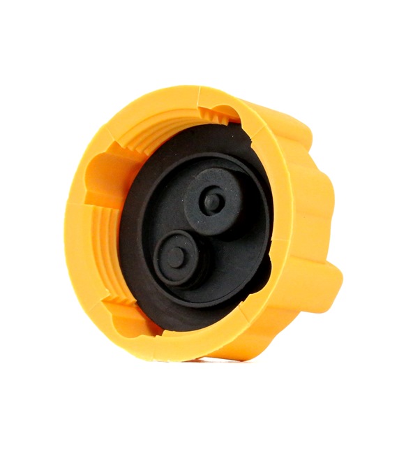 CALORSTAT by Vernet RC0038 Lock till expansionskärl Legend 2.7 i 24V 169 hk C27A1
