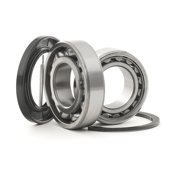 VW A.B.S. Hub Bearing 200207