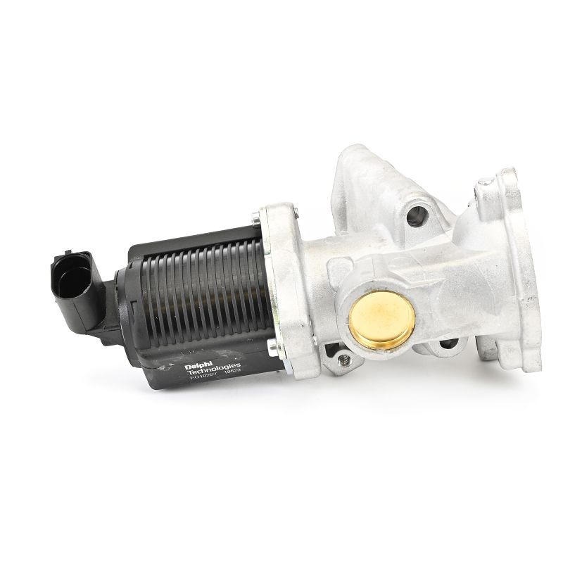 DELPHI EG10257-12B1 Silencioso intermedio 1.3 CDTI 16V (F08) 70 cv Z 13 DT