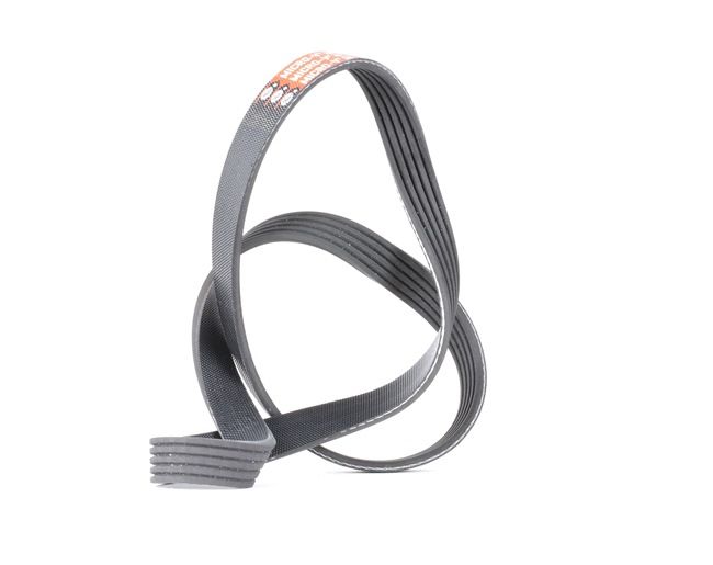 AUSTIN GATES Multireim 5PK890