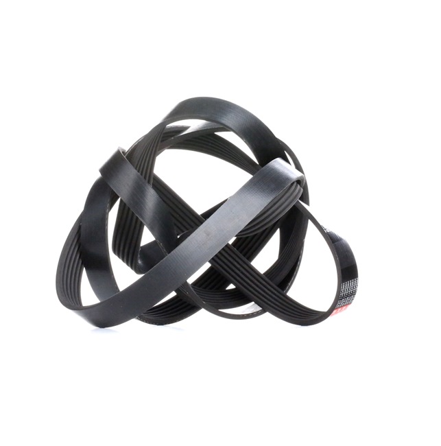 GATES 6PK2500 V-belt 2.7 TDI 163 hp CGKB