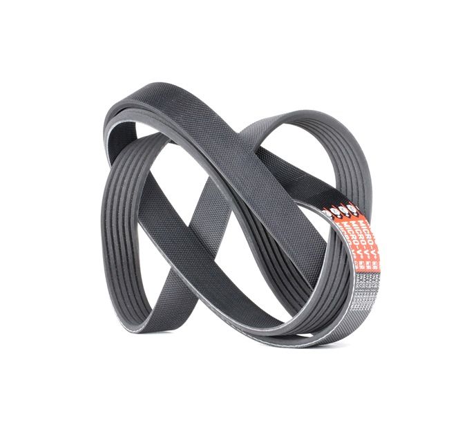 GATES 6PK1540 Multiriem Golf 1j5 1.6 FSI 110 Pk BAD