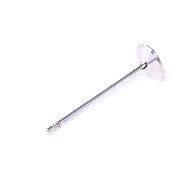 FRECCIA R6580/SCR Inlaatklep VW Passat CC 1.8 TSI 152 Pk CGYA
