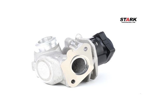 STARK SKEGR-0770016 Embouts d'échappement 1.4 HDi 54CV 2006