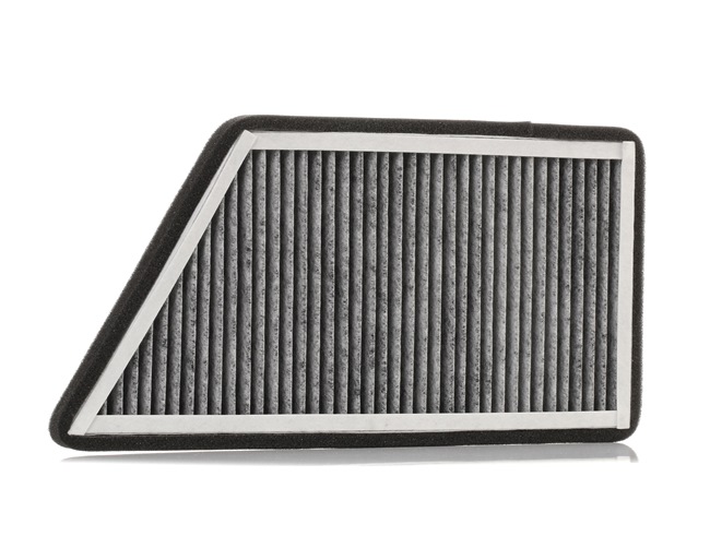 STARK SKIF-0170190 Pollen filter Peugeot 206 Hatchback 1.9 D 69 hp WJY (DW8B)
