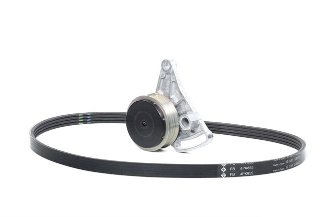 INA 529 0099 10 Keilrippenriemen Passat 3B5 1.9 TDI 90 PS AHH