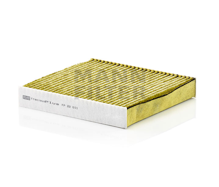 MANN-FILTER FP 22 011 Luftfilter EV87 218 PS