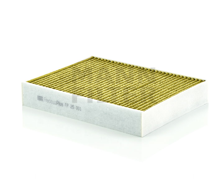 MANN-FILTER FP 25 001 Kraftstofffilter S BITURBO 452 PS N55 B30 A