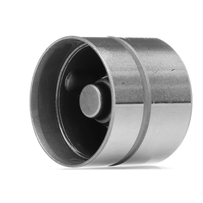 AE FOL138 Poussoir hydraulique Peugeot 306 3/5 Portes 2.0 S16 163CV 2000