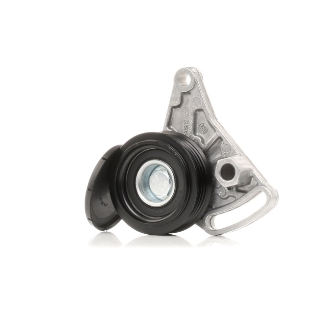 SKODA STARK Polia de retorno correia trapezoidal estriada SKTP-0600001