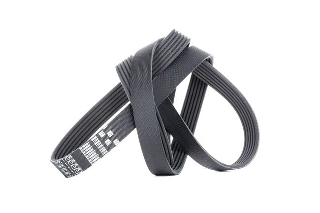6PK1705 Laturin Hihna G-Force WorkHorse™, 1708mm, Kiiloja: 6 GATES 0009933900, 0009933900, 0029931296, 0049930796 ostaa halvat