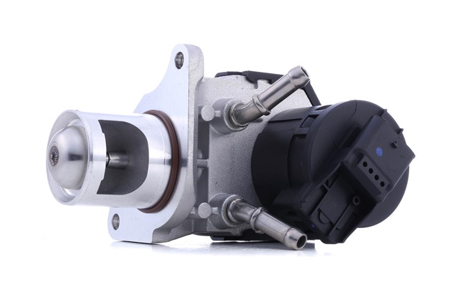 STARK SKEGR-0770071 Valvola EGR BMW F34 320 d xDrive 184 CV N47 D20 C