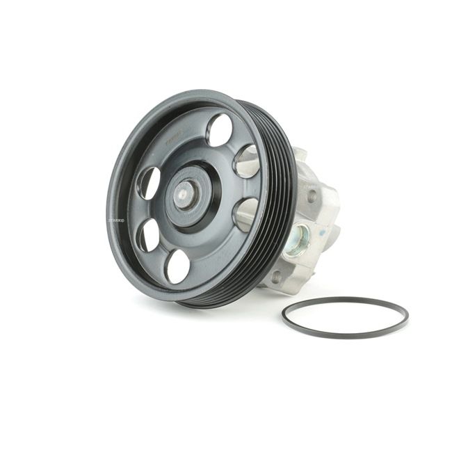 STARK SKWP-0520020 Αντλία νερού FIAT Doblo II Φορτηγό πλατφόρμα/Σασσί (263) 1.3 D Multijet 75 PS 263 A6.000