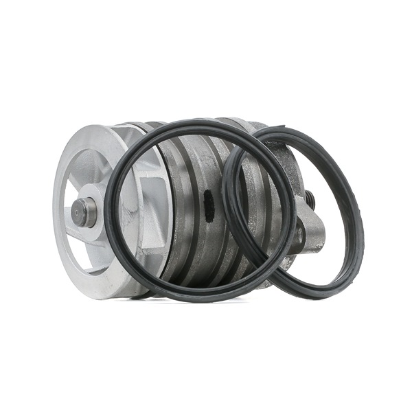 STARK SKWP-0520045 Pompe à eau Multivan T5 2.5 TDI 163CV 2003