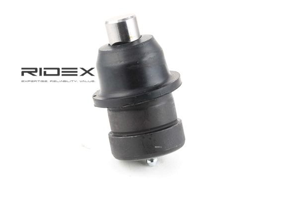 DODGE RIDEX Opphengskule 2462S0120