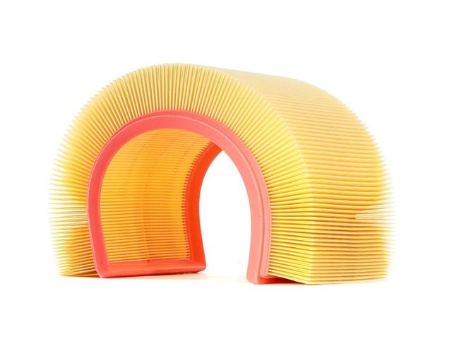 PORSCHE RIDEX Engine air filters 8A0072