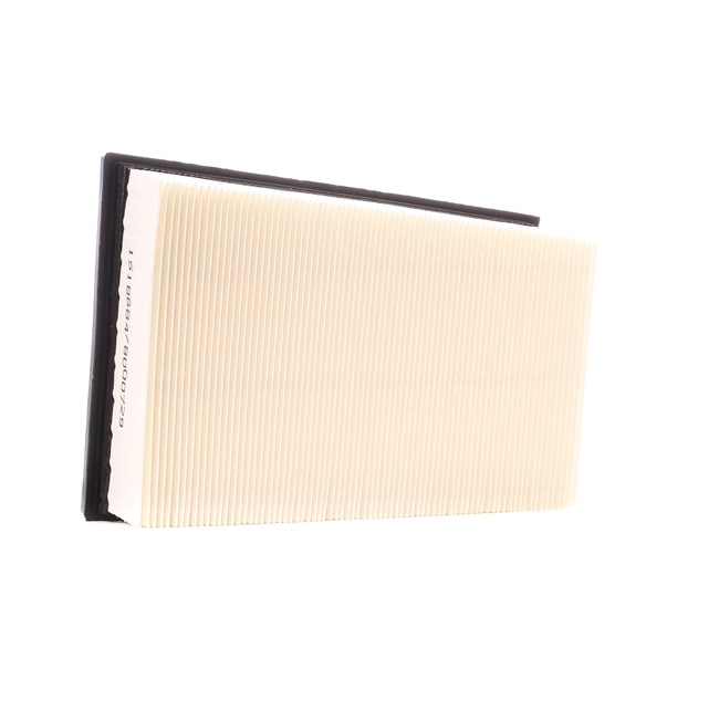 NISSAN RIDEX Luftfilter 8A0058