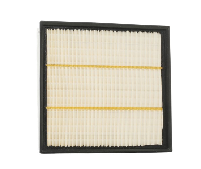 RIDEX 8A0117 Luftfilter Opel Vivaro A Combi 2.5 CDTI (F7, J7, A07) 146PS 2011