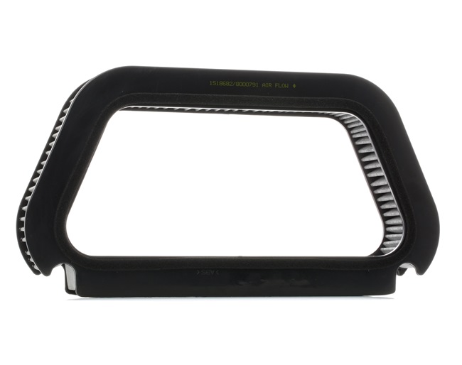 RIDEX 424I0207 Pollen filter Audi A8 D3 S8 5.2 quattro 450 hp BSM