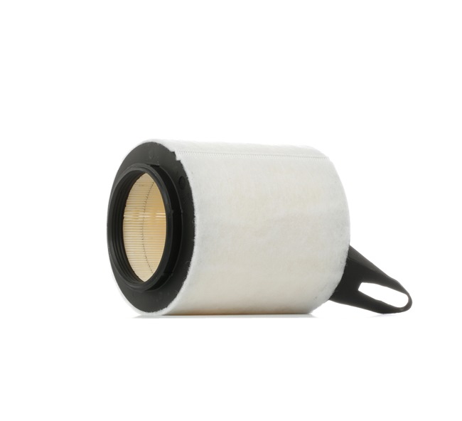 RIDEX 8A0145 Filtro aria BMW E92 320 i 170 CV N43 B20 A