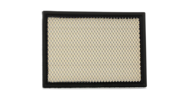 RIDEX 8A0121 Bränslefilter 3.7 V6 4x4 214 hk EKG