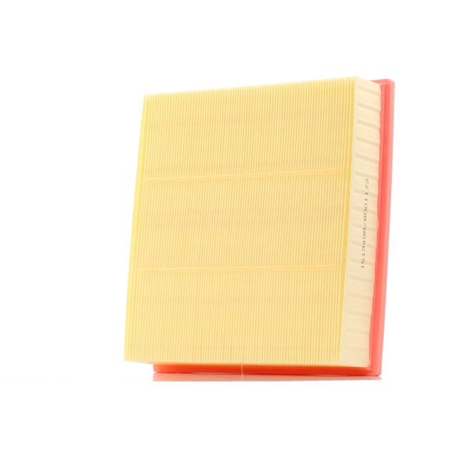 RIDEX 8A0100 Filtro de ar desportivo 2.5 D (F69, M69, P69) 131 cv X 25 DT