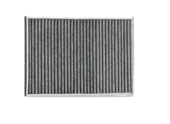 DS RIDEX Φίλτρο καμπίνας 424I0185