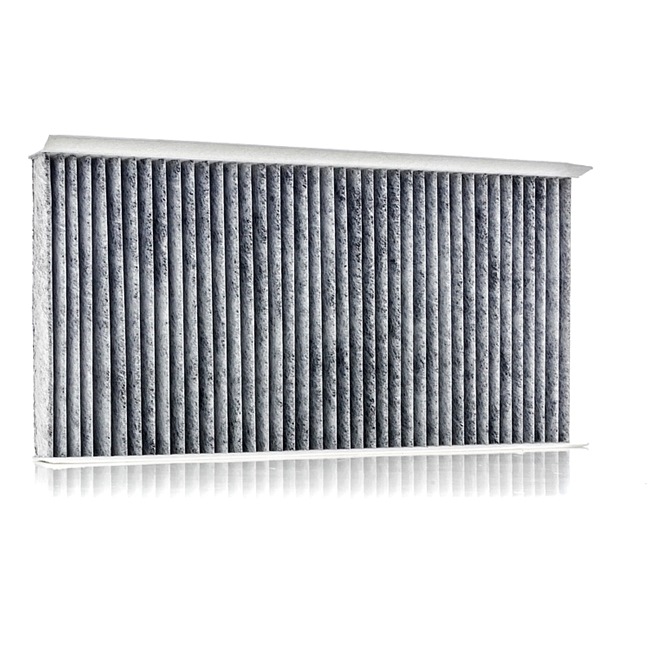 CADILLAC RIDEX Filtro Do Habitáculo 424I0013