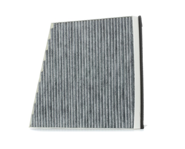 RIDEX 424I0261 Innenraumfilter MERCEDES-BENZ E-Klasse Pritsche / Fahrgestell (VF211) E 280 CDI (211.620) 190 PS OM 642.920