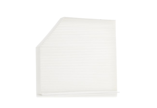 PORSCHE RIDEX Cabin Filter 424I0235