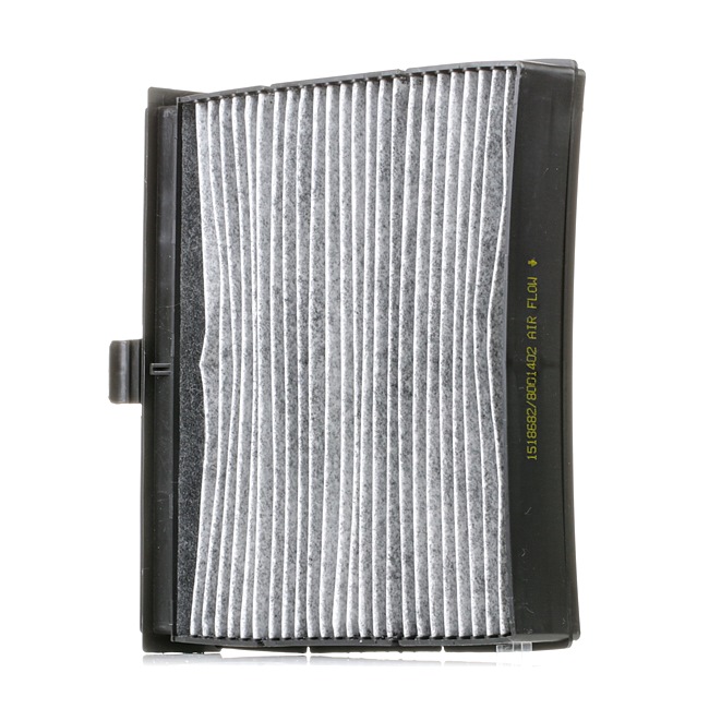 RIDEX 424I0171 Filtre d'habitacle Renault Scenic 2 1.9 dCi 120CV 2004