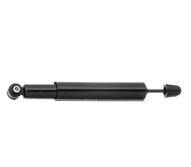 RIDEX Väghållning 854S0132