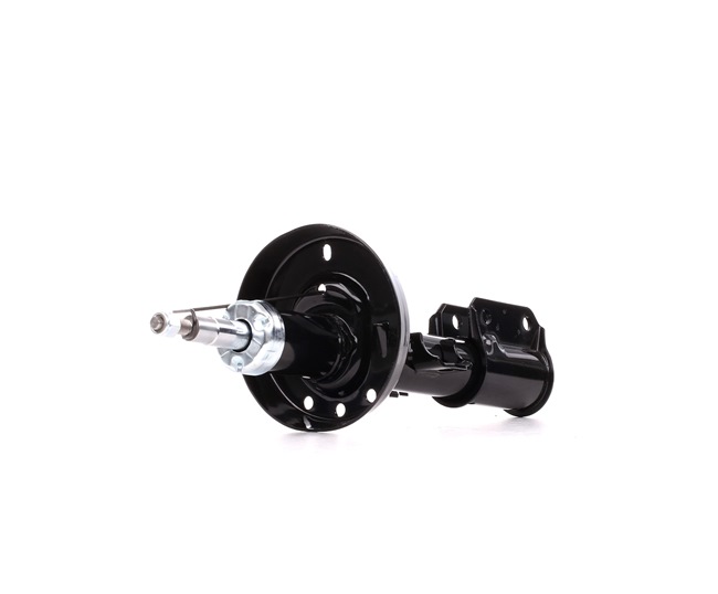 RIDEX 854S0385 Trykakkumulator 1.8 Dualfuel (F68) 125 HK Z 18 XE