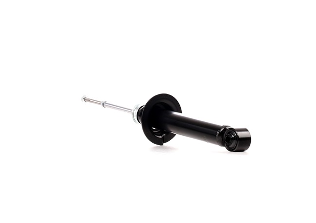 RIDEX 854S0975 Set de suspensie, arcuri elicoidale și amortizoare 3.8 V6 (V87W) 248 CP 6G75