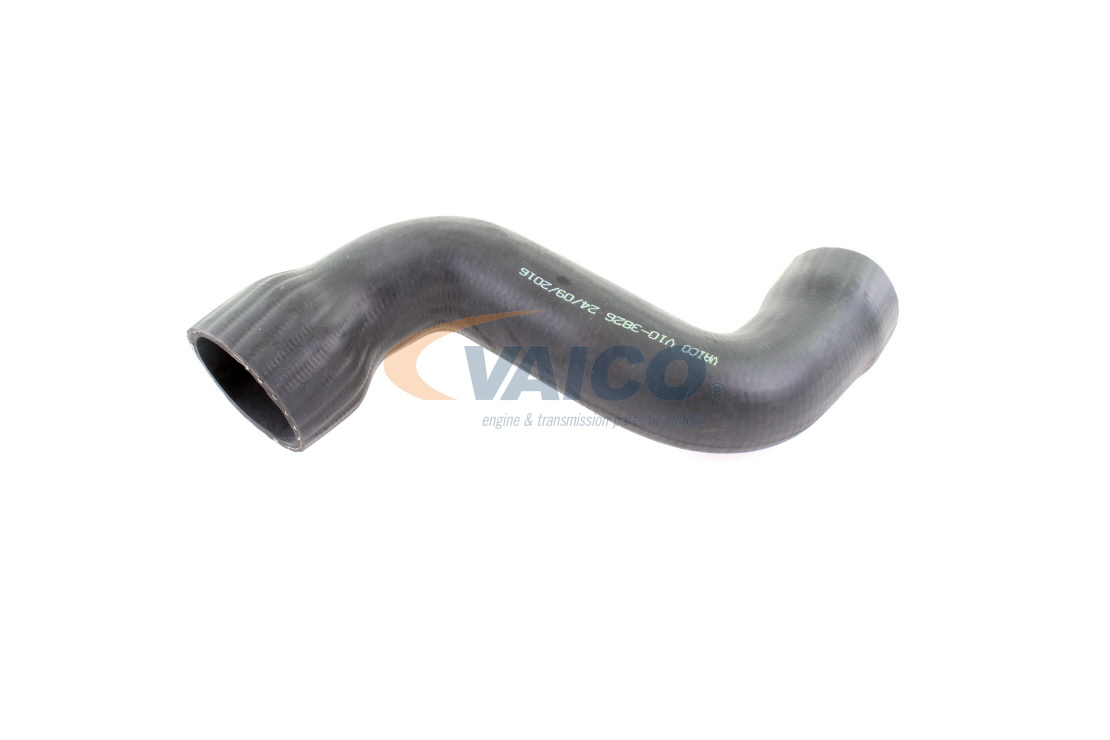 VAICO V10-3826 Kraftstoffleitung 1.8 T 170 PS AMB