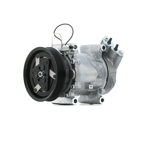 STARK SKKM-0340028 Compressor de ar condicionado Renault Megane Scenic 1.4 i (JA0E) 75 cv E7J 764