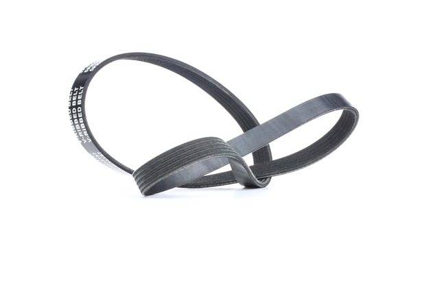 STARK SKPB-0090103 Lant distributie 3.0 V6 4WD (V23W, V43W, V23C) 150 CP 6G72 (SOHC 12V)